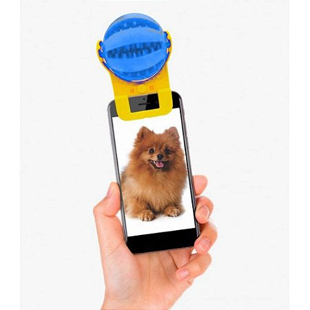 Brinquedo Bola Interativa