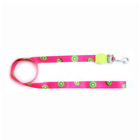 Guia Premium Pequena - Kiwi